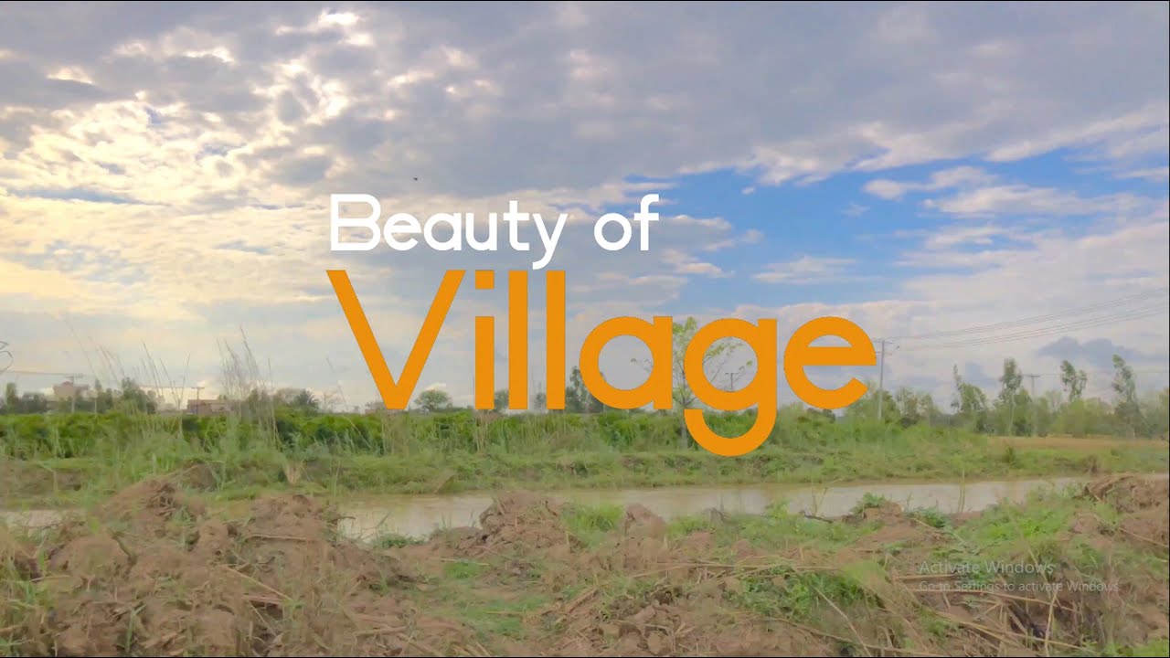 Beauty of Village | Village Life | Nature | 2 Chak Tehsil Bhalwal - 4K