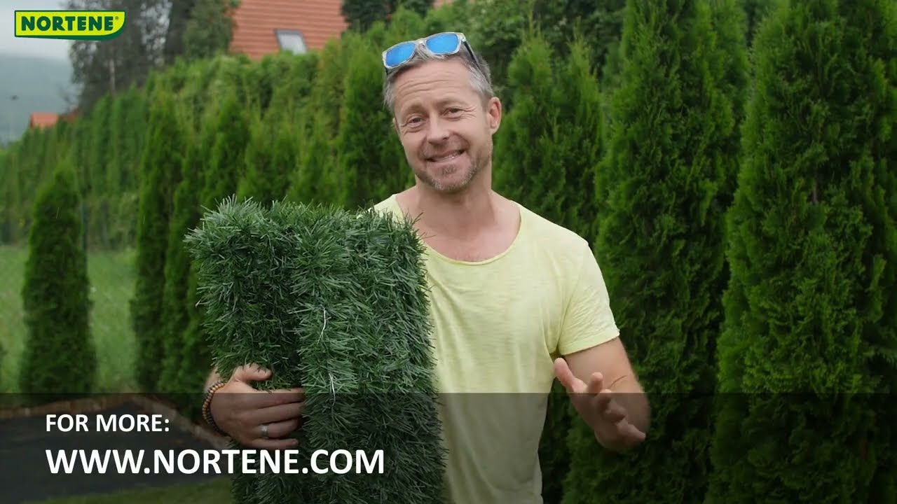 Seto artificial Campovert | Nortene