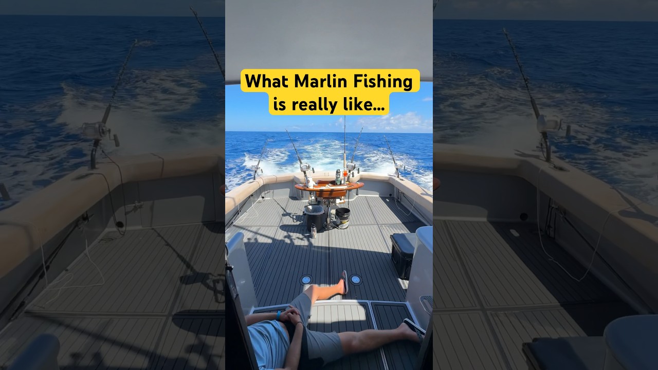 What Marlin Fishing Is Really Like - #fishing #marlinfishing #fishinglife