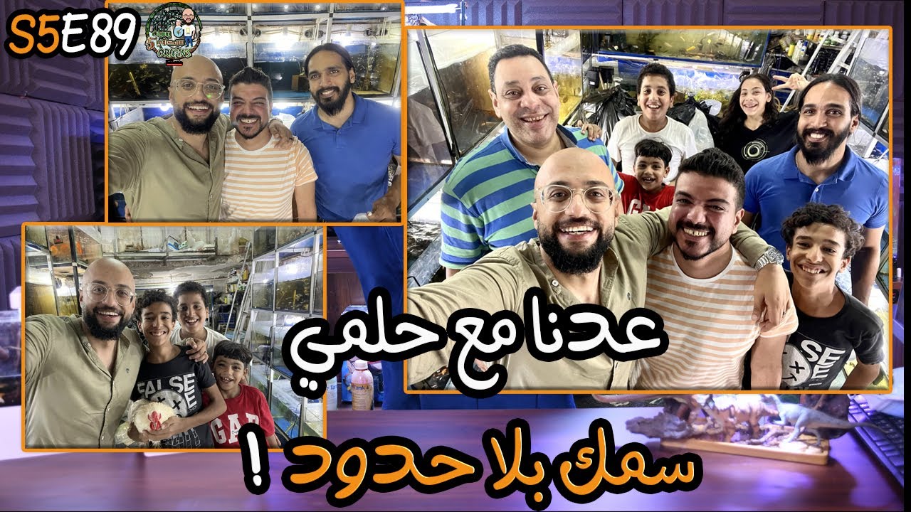 S5E89 - عدنا مع حلمي سمك بلا حدود