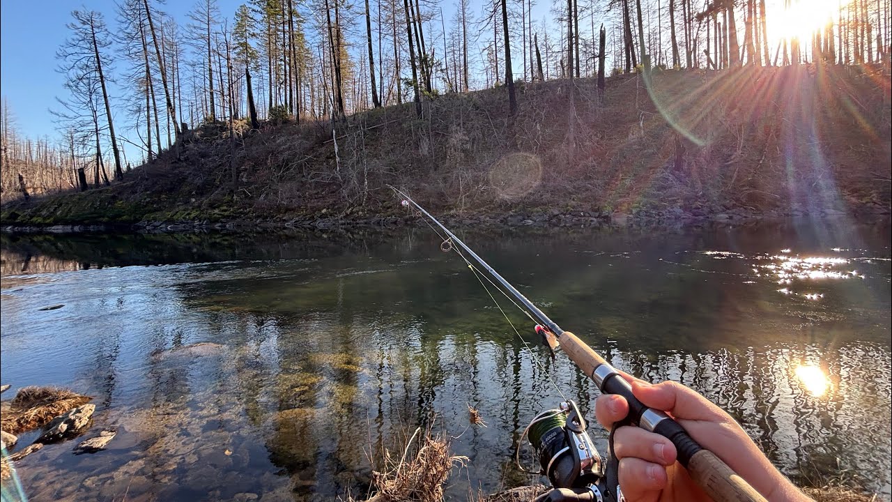 Winter steelhead fishing on the North Umpqua River 