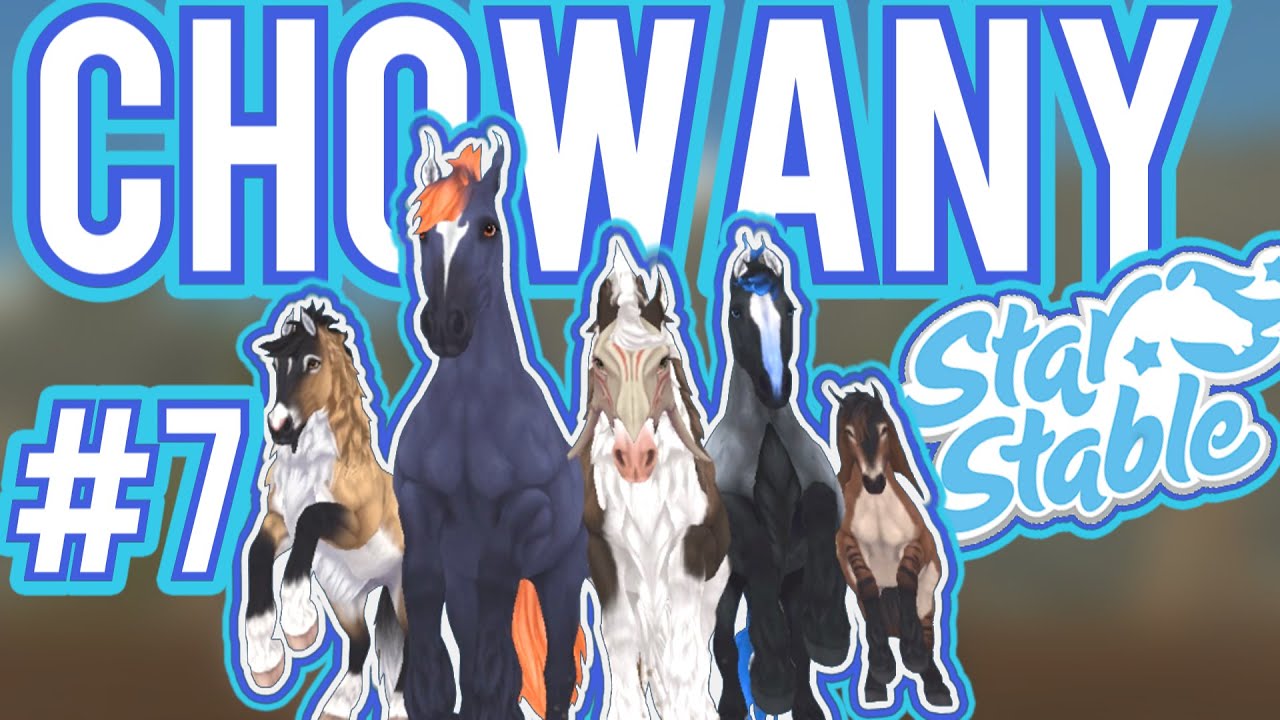 🐎😱CHOWANY W SSO😱🐎DZIKI LAS - WOJOWNICY