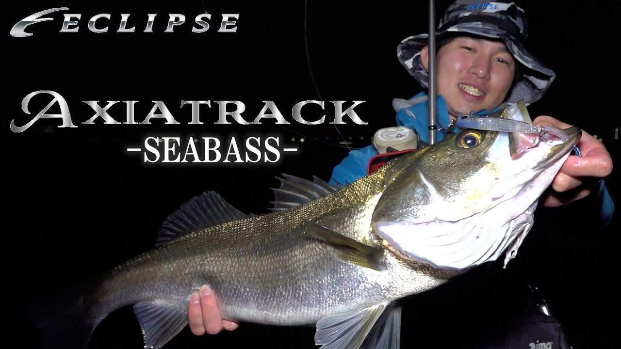 【OFFICAL PV】 AXIA TRACK  - SEABASS -