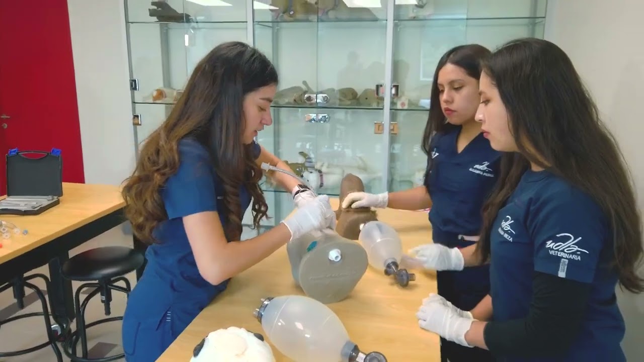 &iexcl;Conoce el Centro de Simulaci&oacute;n Veterinaria!
