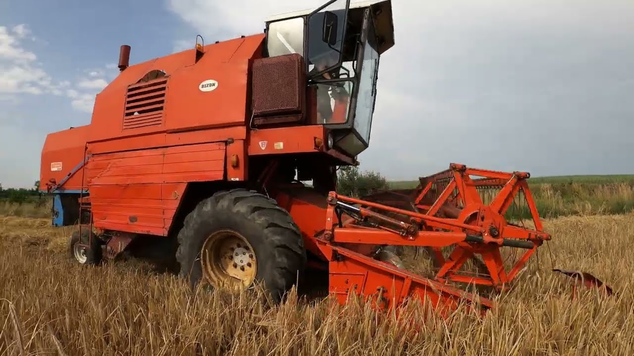 Żniwa 2024 🌾Jęczmień ozimy🌾idzie pod kosę 🌾Bizon Rekord Z058 Agro Kuzyni🔥