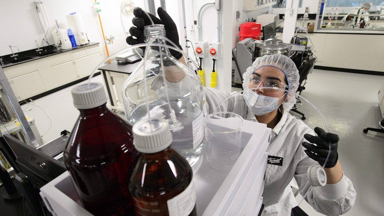 Ontario weed company conducting pot science in high-tech lab