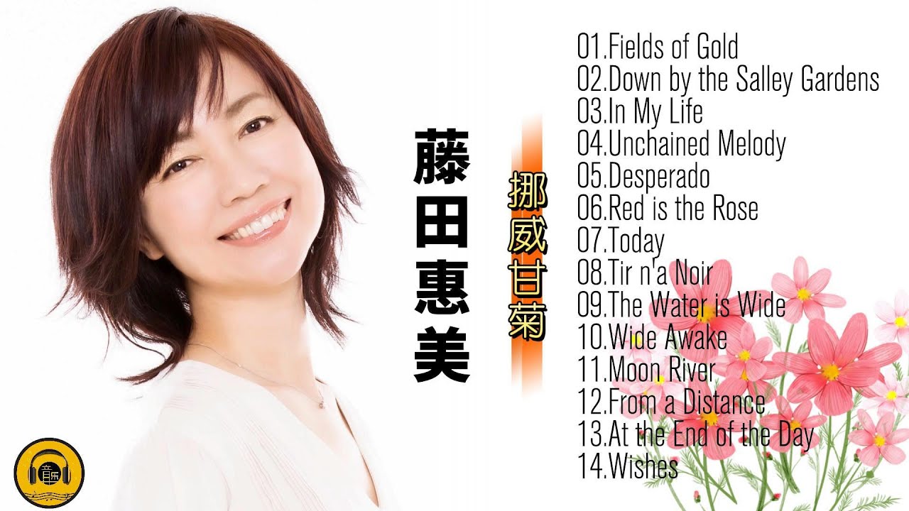 【发烧女声】藤田惠美《挪威甘菊》，她的歌声温柔且充满透明感！