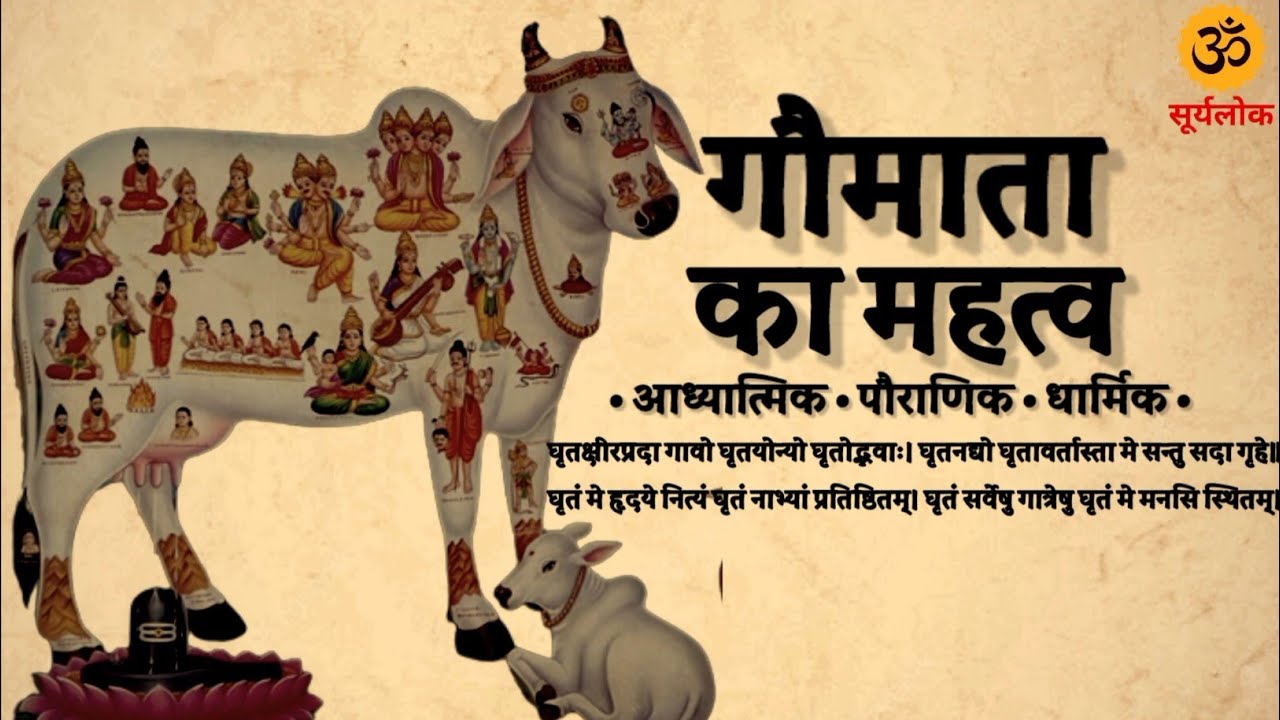 33 crore gods and goddesses reside in mother cow. Know which god resides in which part of the body.