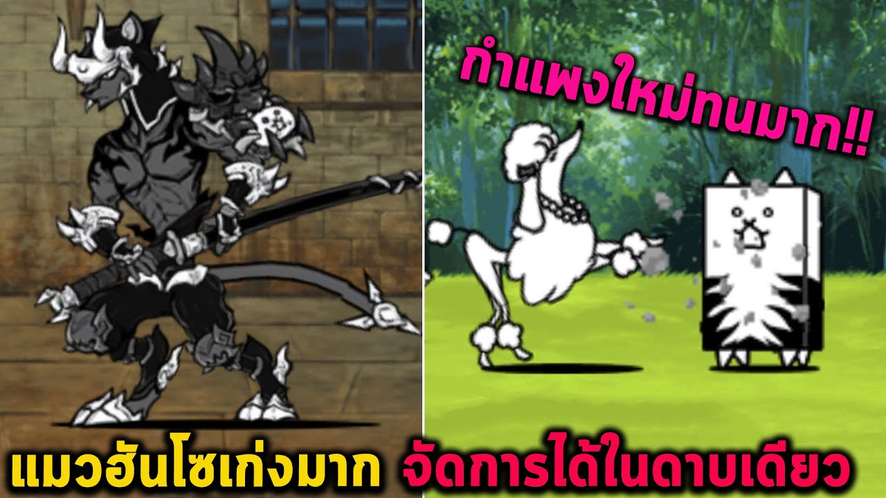 แมวฮันโซเก่งมาก จัดการได้ในดาบเดียว และแมวกำแพงใหม่สุดทนทาน Battle Cat