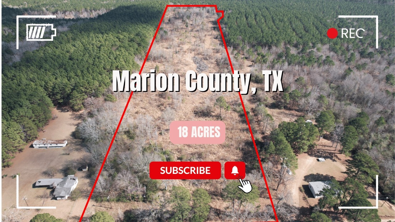 Unrestricted 18 Acres in Marion County, TX – Flat – Hunting – 20 Minutes from Jefferson (Overview)