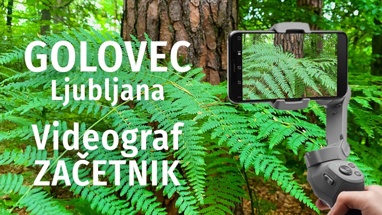 HRIB GOLOVEC Ljubljana | Nejc GOLOB/FOTOSOBA.SI