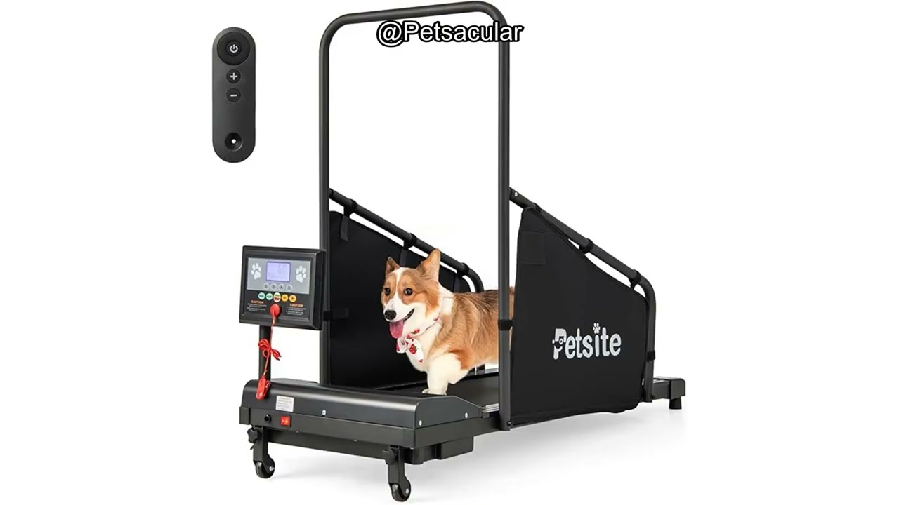 PETSITE Dog Treadmill Review: Is It Worth the Investment for Your Dog's Fitness?