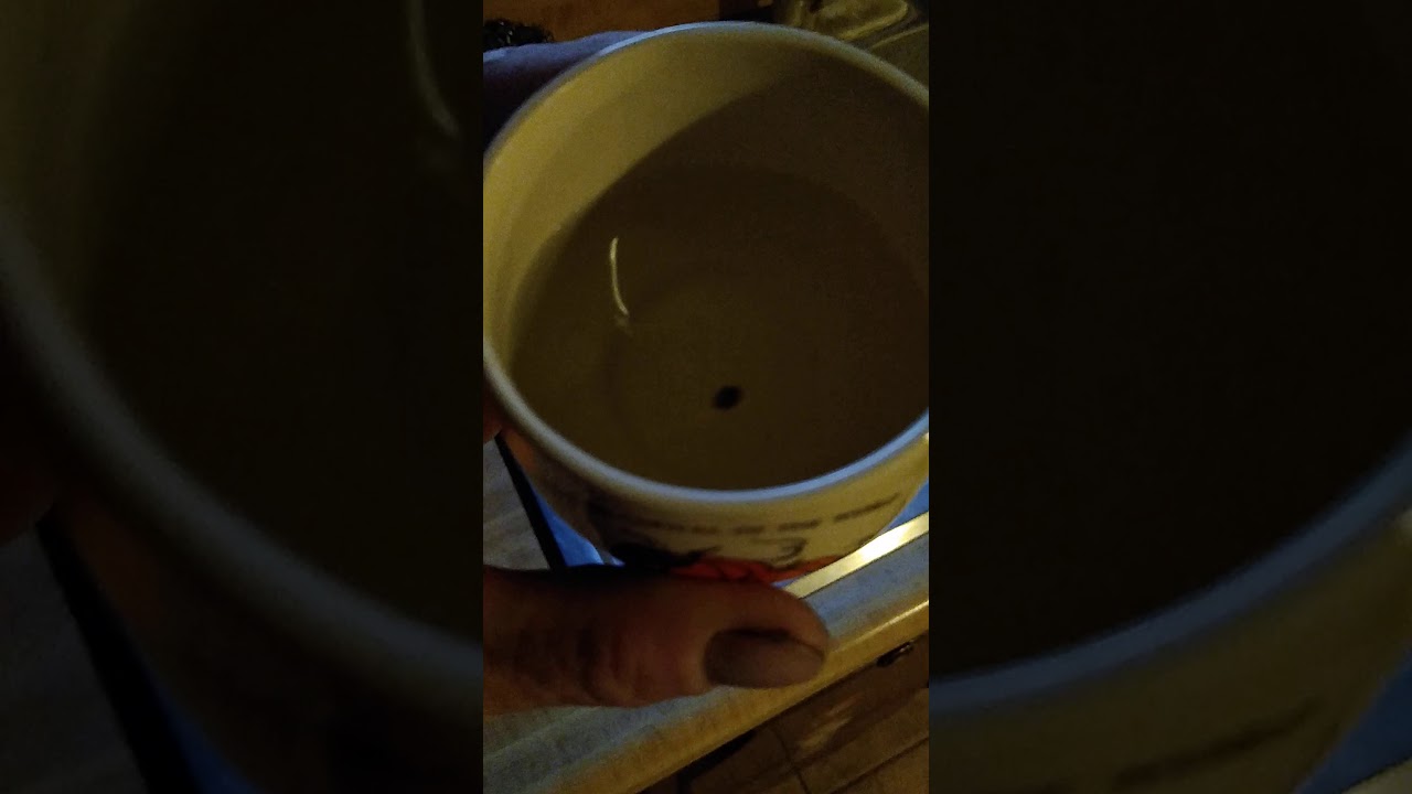 Brother Mendel's Selections. The Difference: Above & Beyond