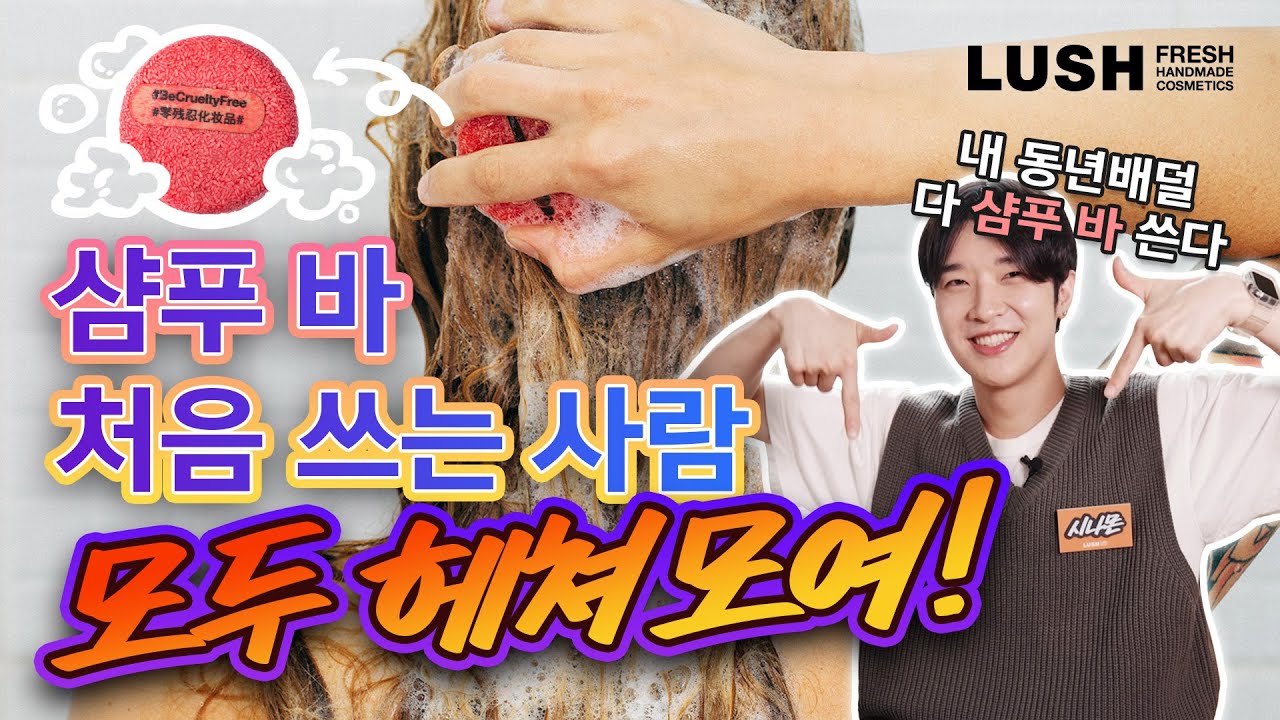러쉬가 샴푸 바의 오리지널🤔? 샴푸 바 A to Z💙 제품 추천까지!