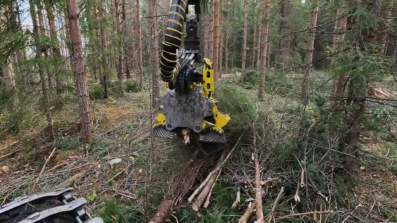 Moipu 300F1 energy and pulpwood harvesting | energia- ja kuitupuun korjuu