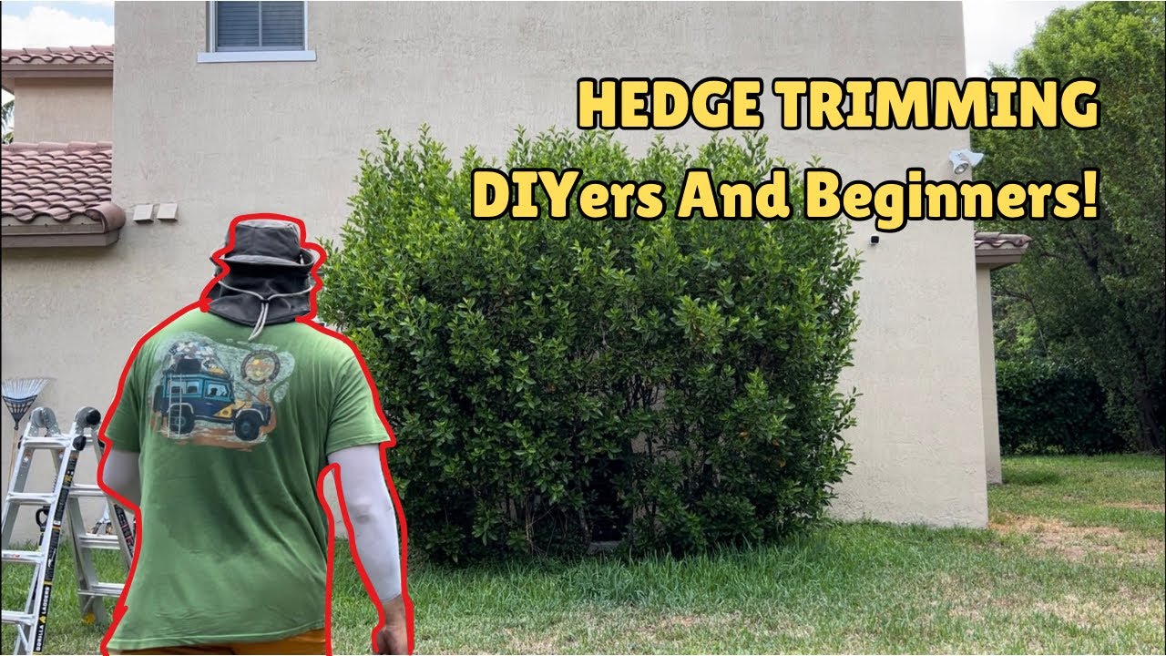 DIY Hedge and Shrub Trimming! Beginners Guide