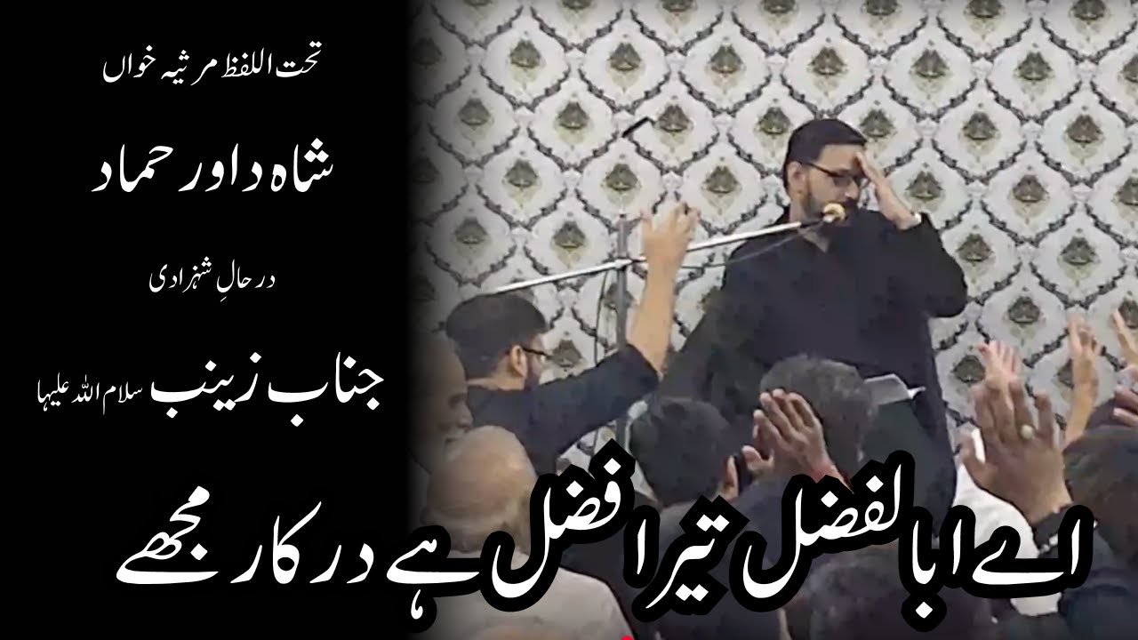 Shah Dawar Hammad - Tehtul Lafz Marsiya Shehzadi Zainab s.a. - House of Mir Takallum 2025