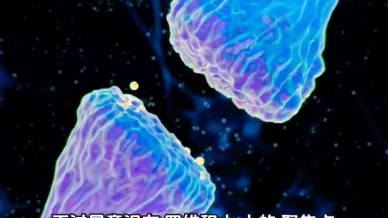 默数3秒&mdash;&mdash;1、2、3，你以为这是&ldquo;时间在流动&rdquo;的铁证？但爱因斯坦早在100多年前就戳穿了这个&ldquo;骗局&rdquo;：时间根本不是匀速流淌的河流，它只是人类大脑制造的错觉，是用来整理混乱现实的&ldquo;认知工具&rdquo;。那些让