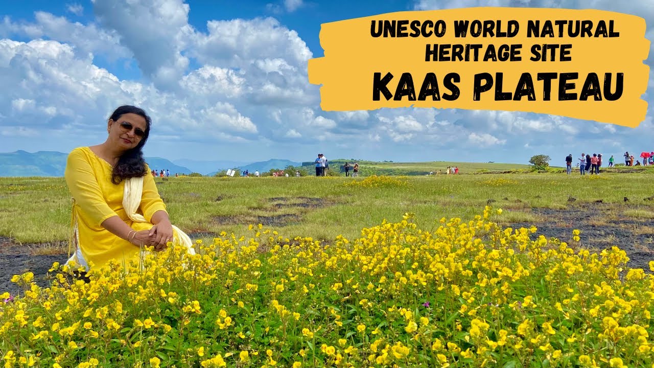 Kaas Pathar I UNESCO World Natural Heritage Site in Maharashtra I Valley of Flowers