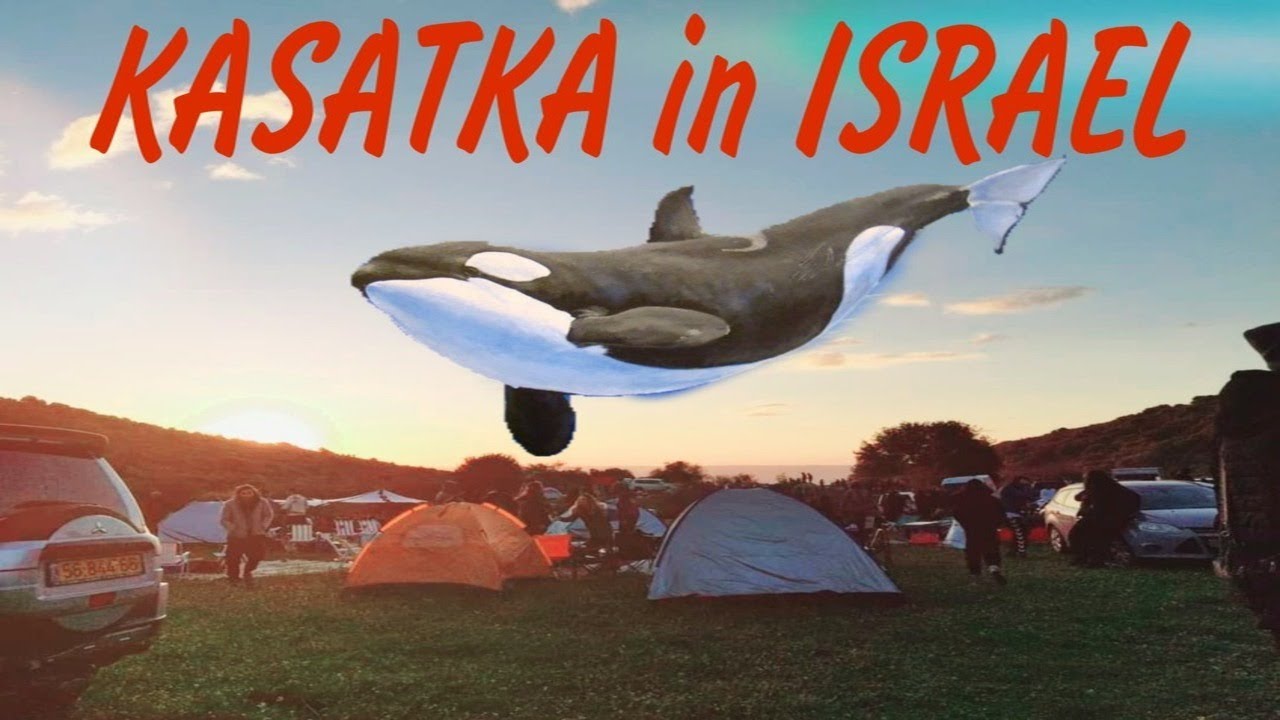 Sunrise at the Kipod party (Israel 30.3.23) to the sounds of Kasatka 1/2  #AliceDrec #DamaruRec