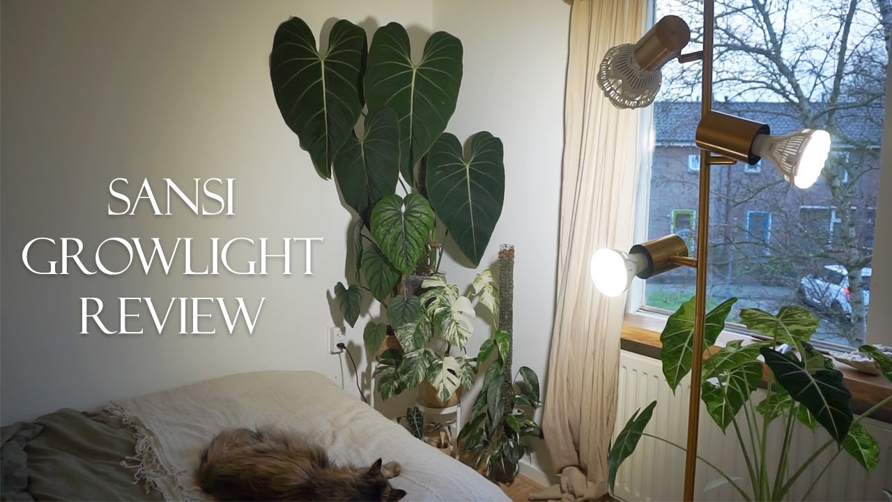 SANSI growlight bulb review | 15W & 36W