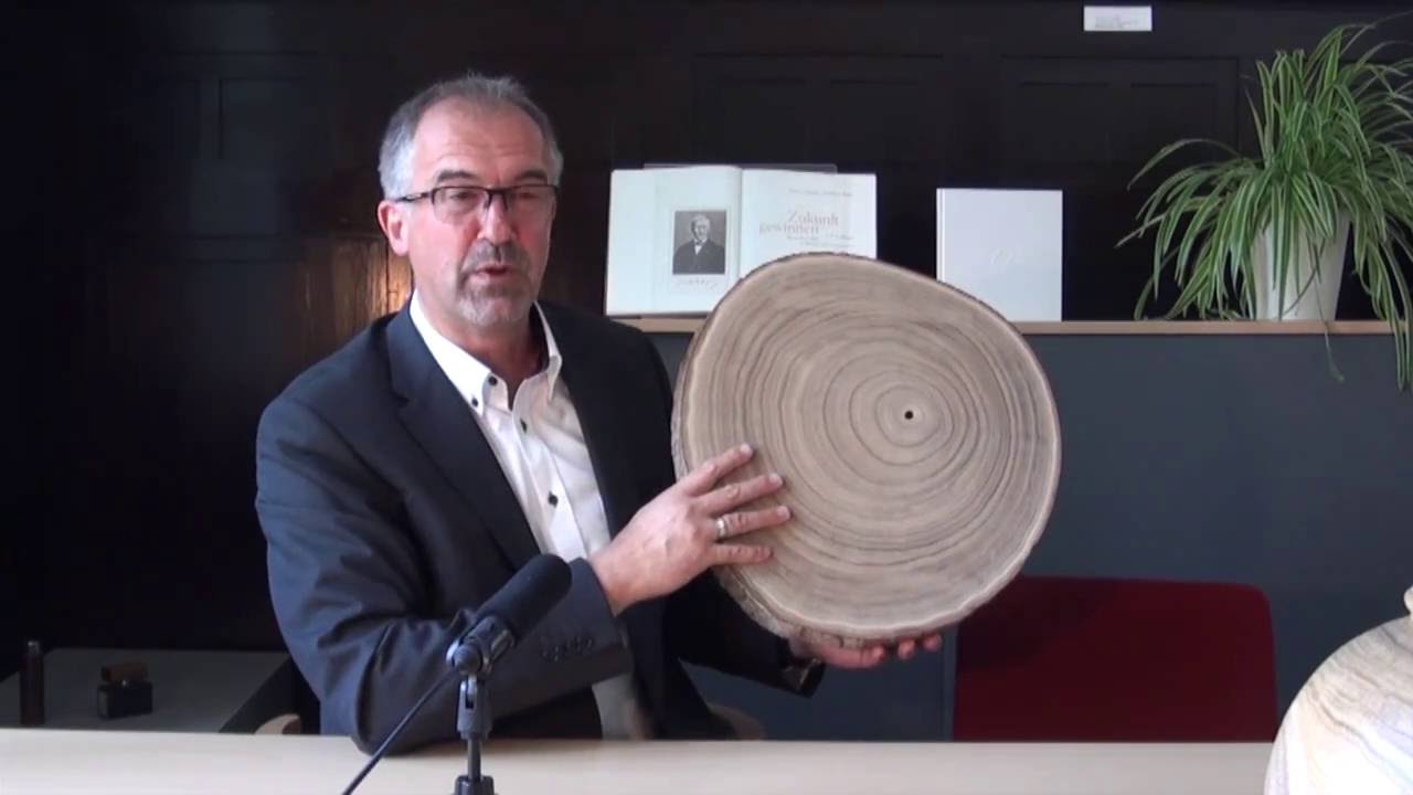 Was ist der Kiribaum?