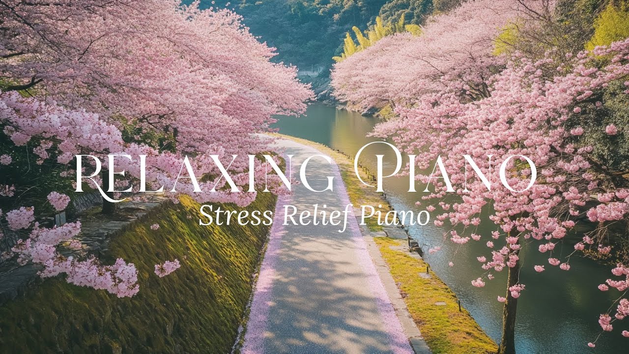 Romantic Piano Music 🎶 Slow & Gentle Piano for Relaxation and Peace