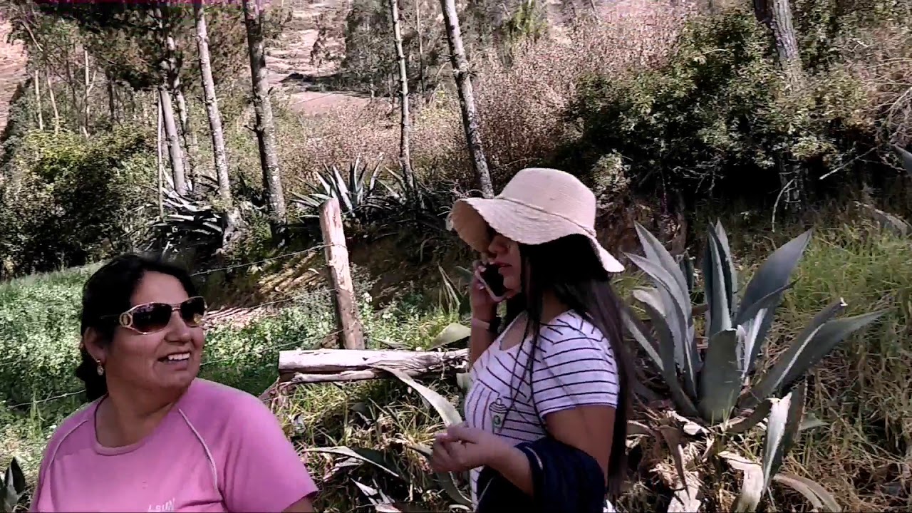 Visita relámpago al distrito  de Santo Toribio. Huaylas 2019.