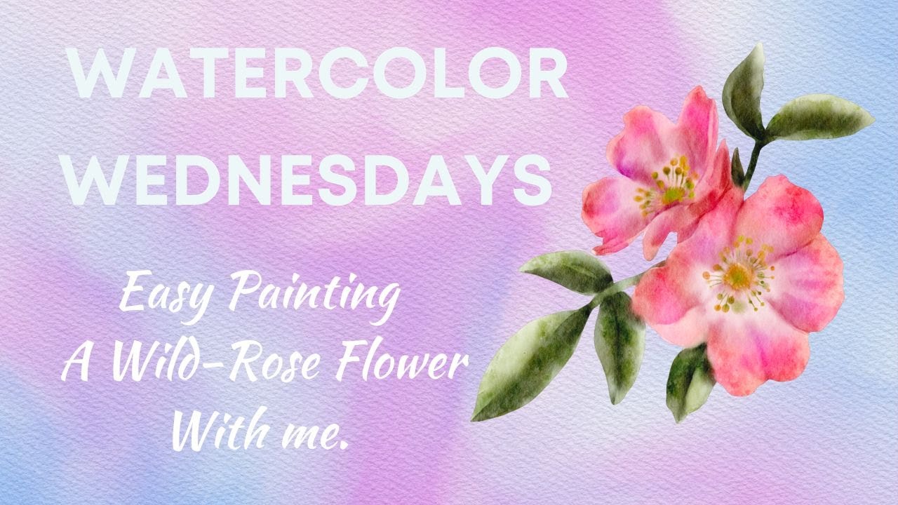 How I paint an easy Wild Rose in Watercolor Wednesday.