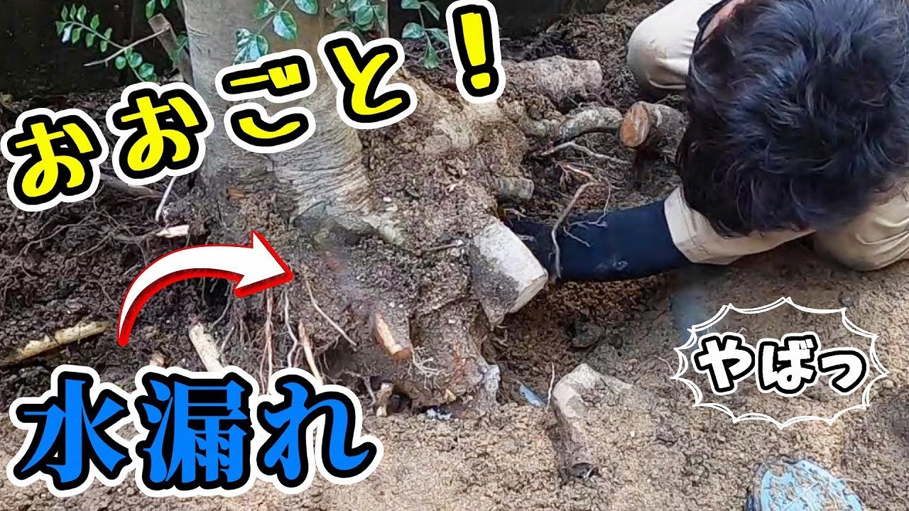 【給湯管の漏水修理】管を傷つけずに巻き付いた厄介者を取り除き、管を繋ぎ合わせて止水する「銅管ロウ付け」