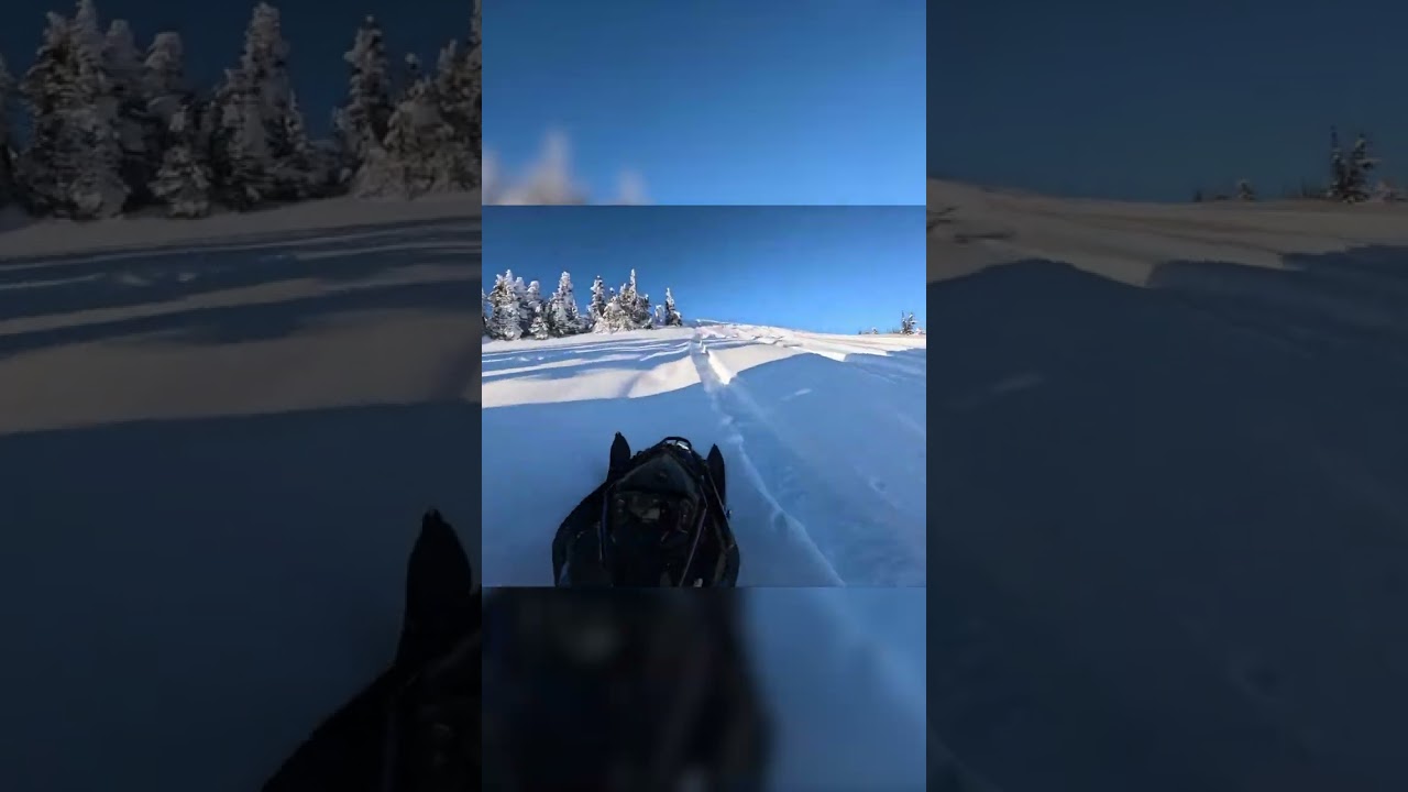 BC SLEDDING DAY 10 pt7: PLAYING IN THE HILLS 