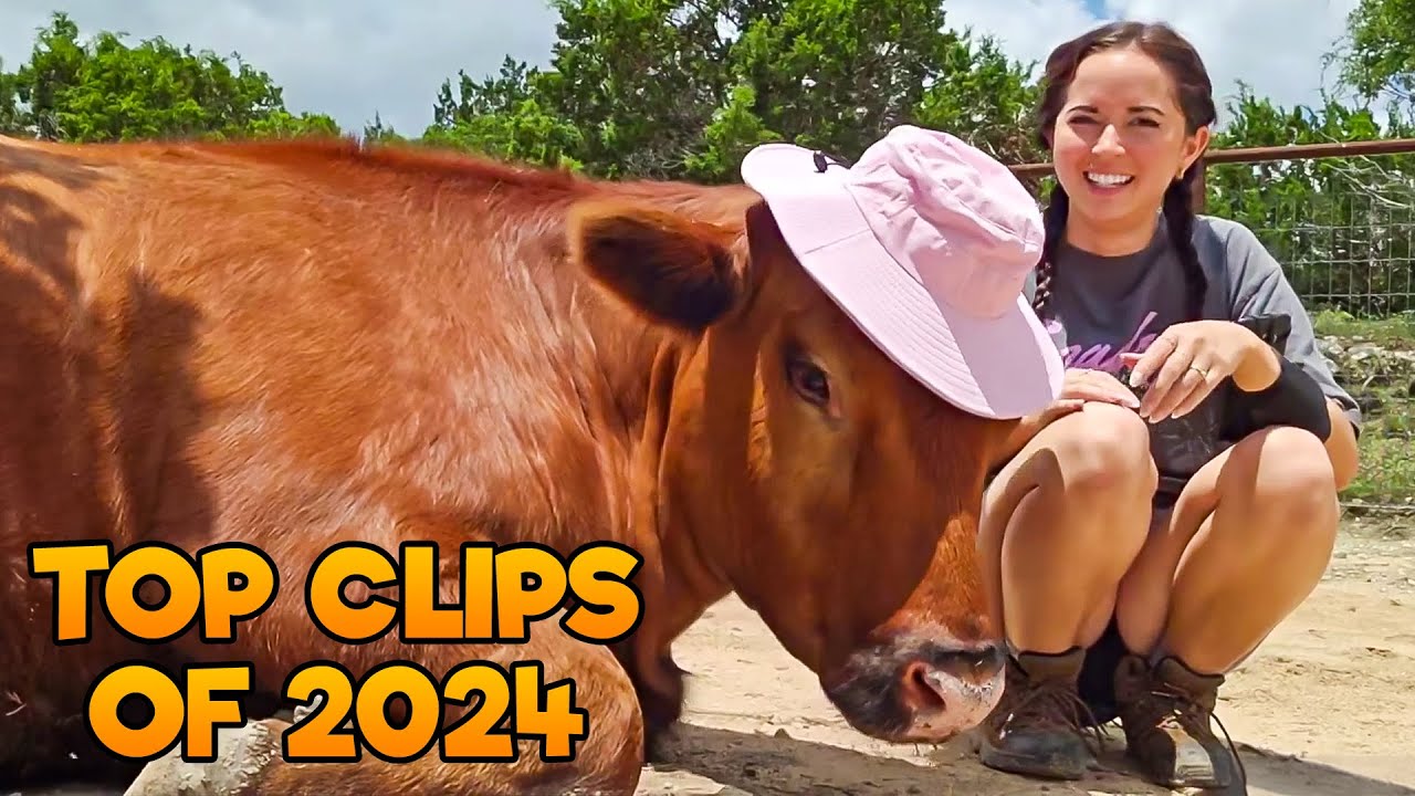 Top Clips Of 2024