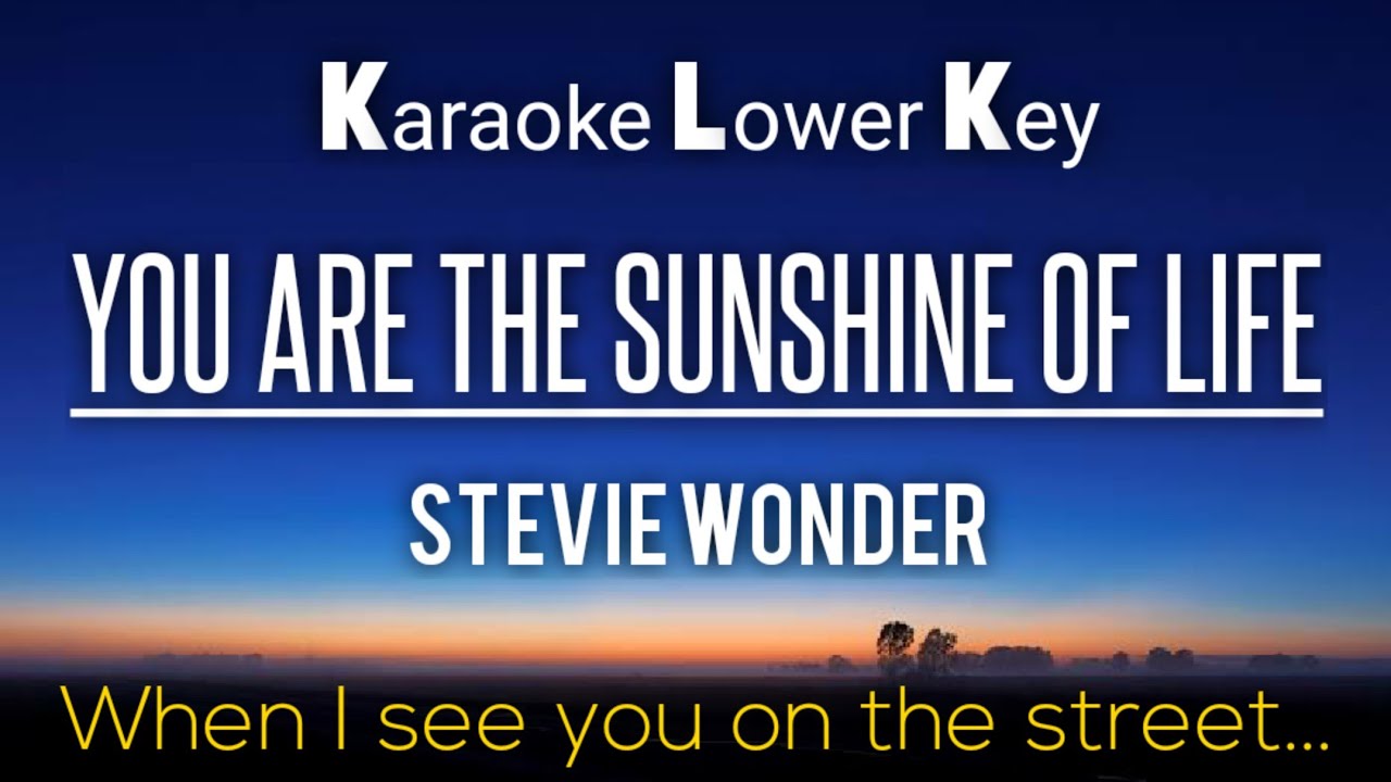You Are the Sunshine of My Life - Stevie Wonder Karaoke Lower Key -3