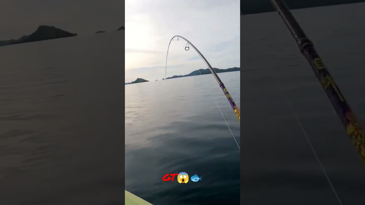 GIANT TREVALLY 😱🐟 
