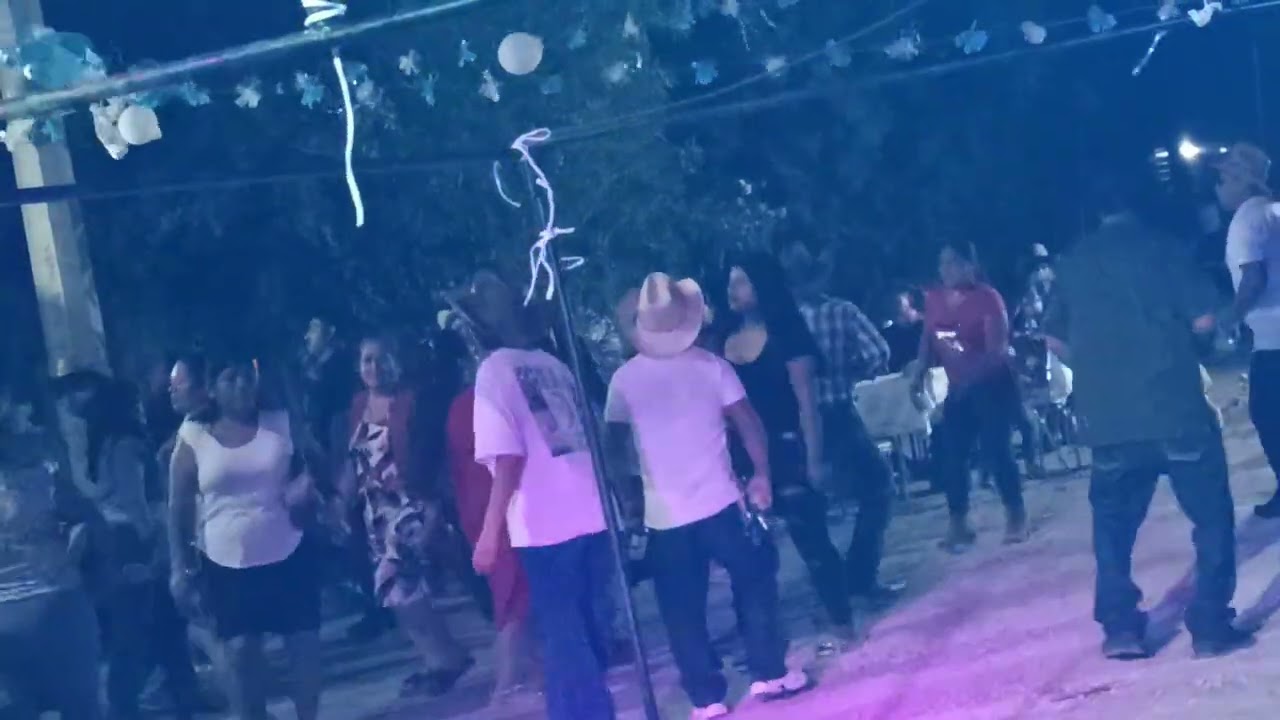 El chivo flaco chilena al ritmo del Sax👍