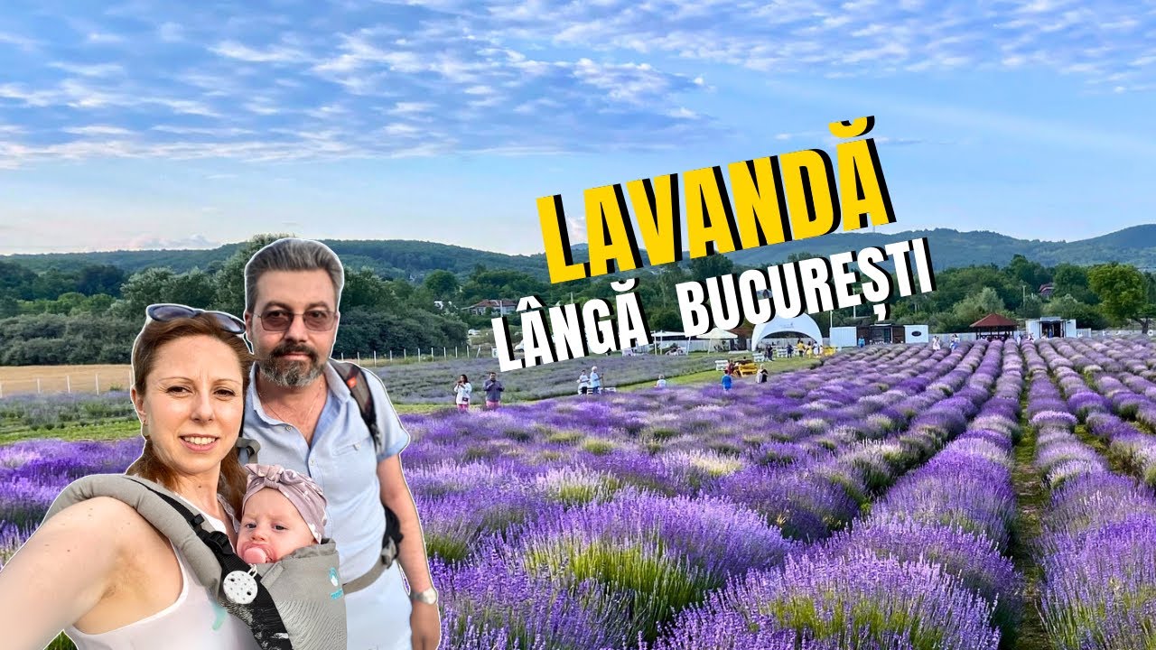PLIMBARE DE WEEKEND: Grădina de lavandă
