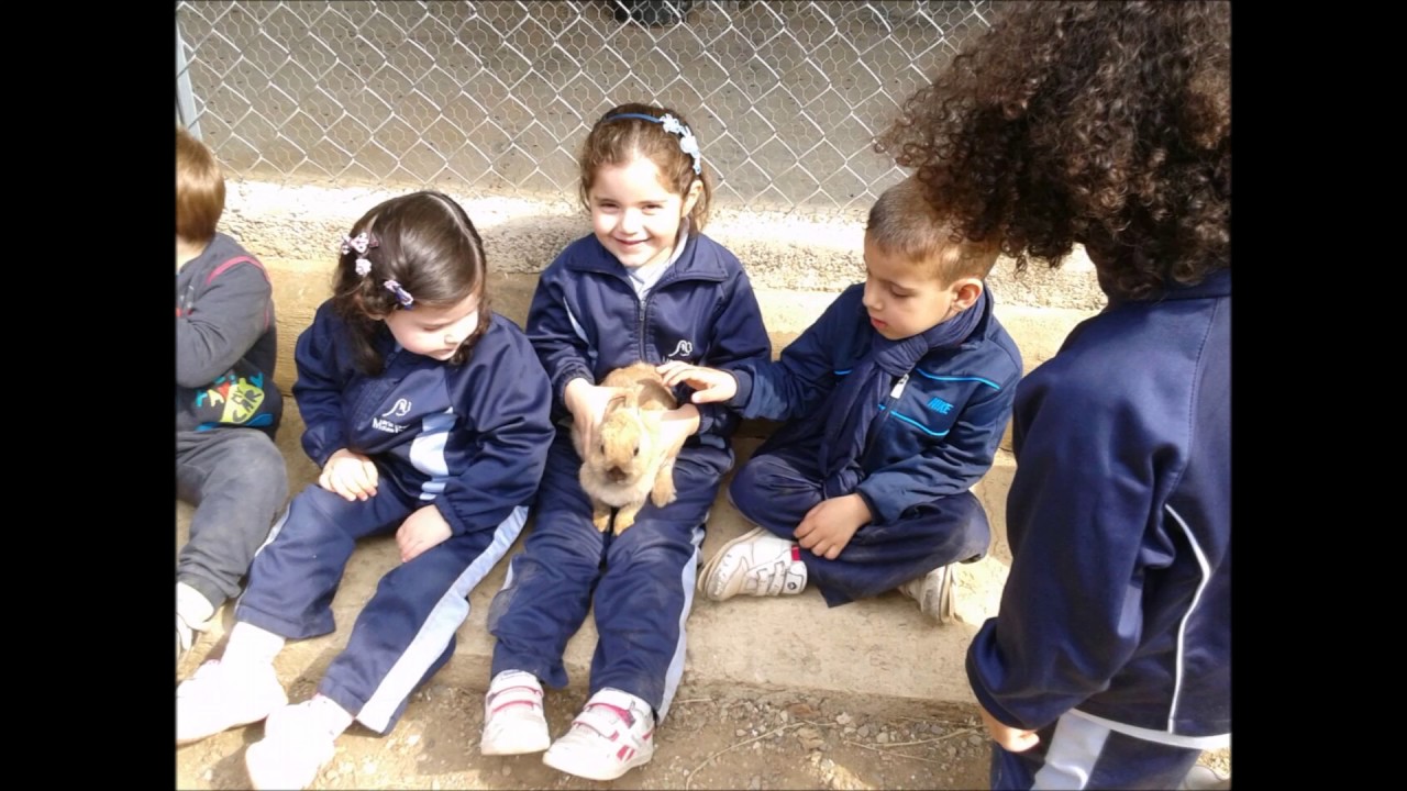 GRADUACIÓ P5.  P3. CURS 16-17