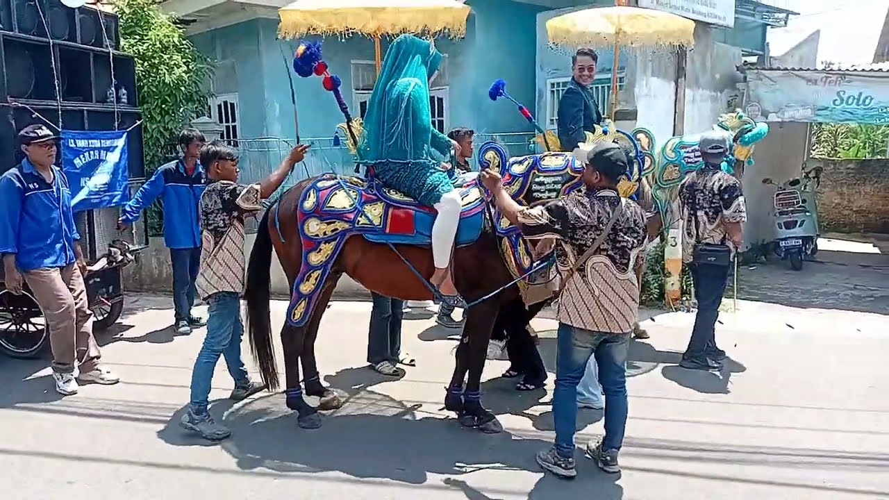 Kuda Cibinong 