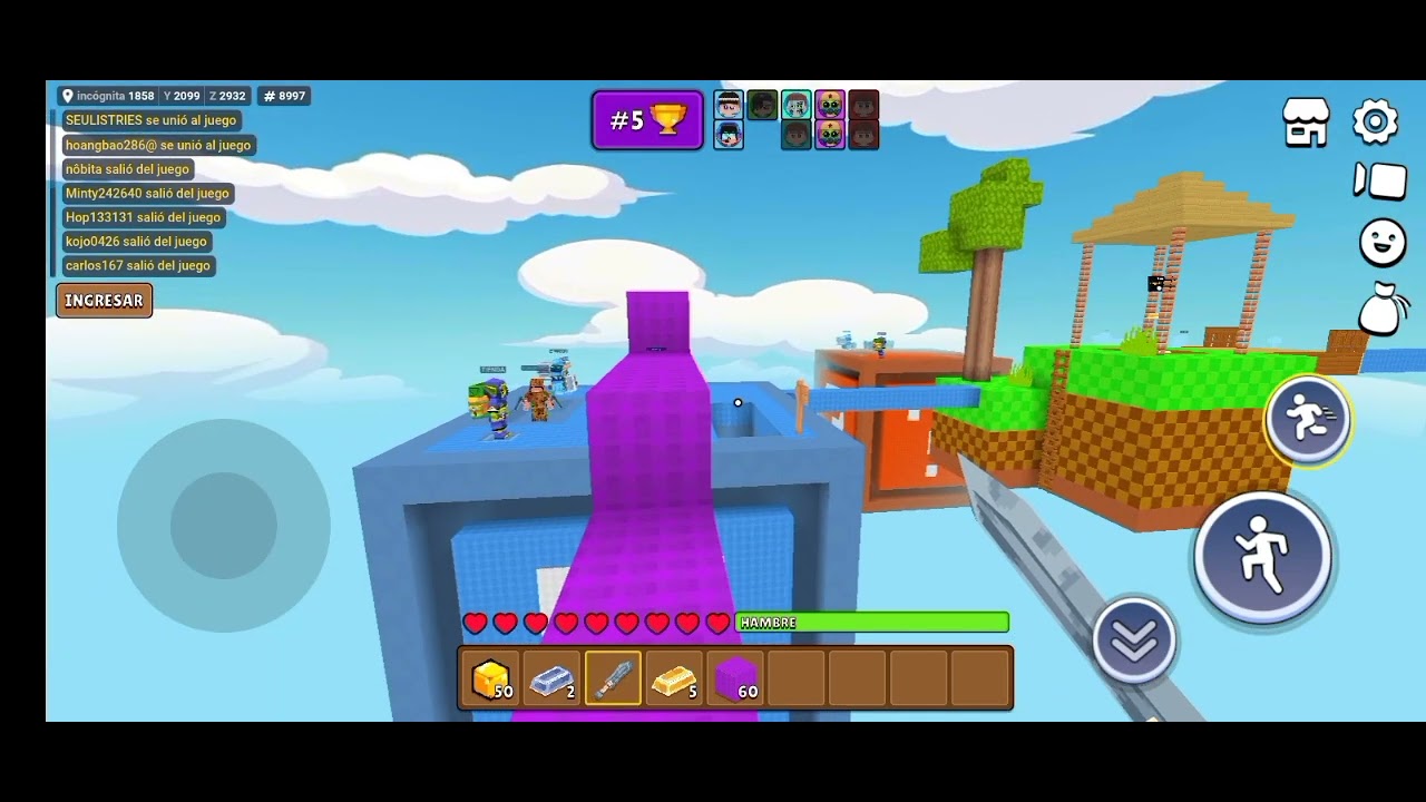 Bedwars #9