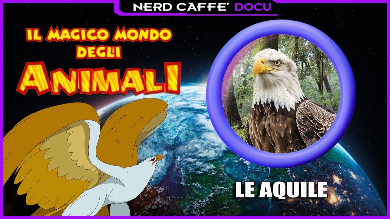 Il Magico Mondo Degli Animali - Ep. 20 - Le Aquile - Nerd Caffè Docu