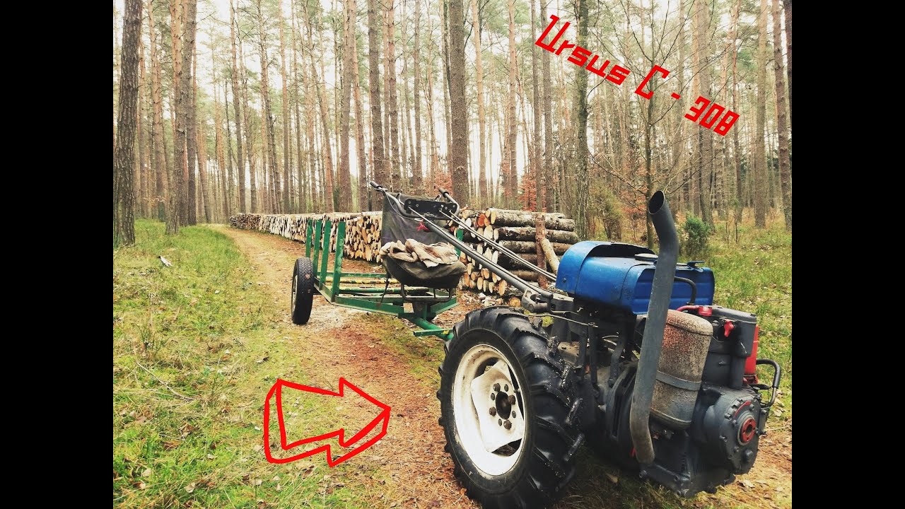 Zrywka drewna ursusem c 308/ Samowyrób opału czyli DZIK w swoim żywiole