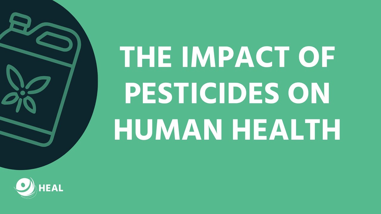 Webinar: The impact of pesticides on human health