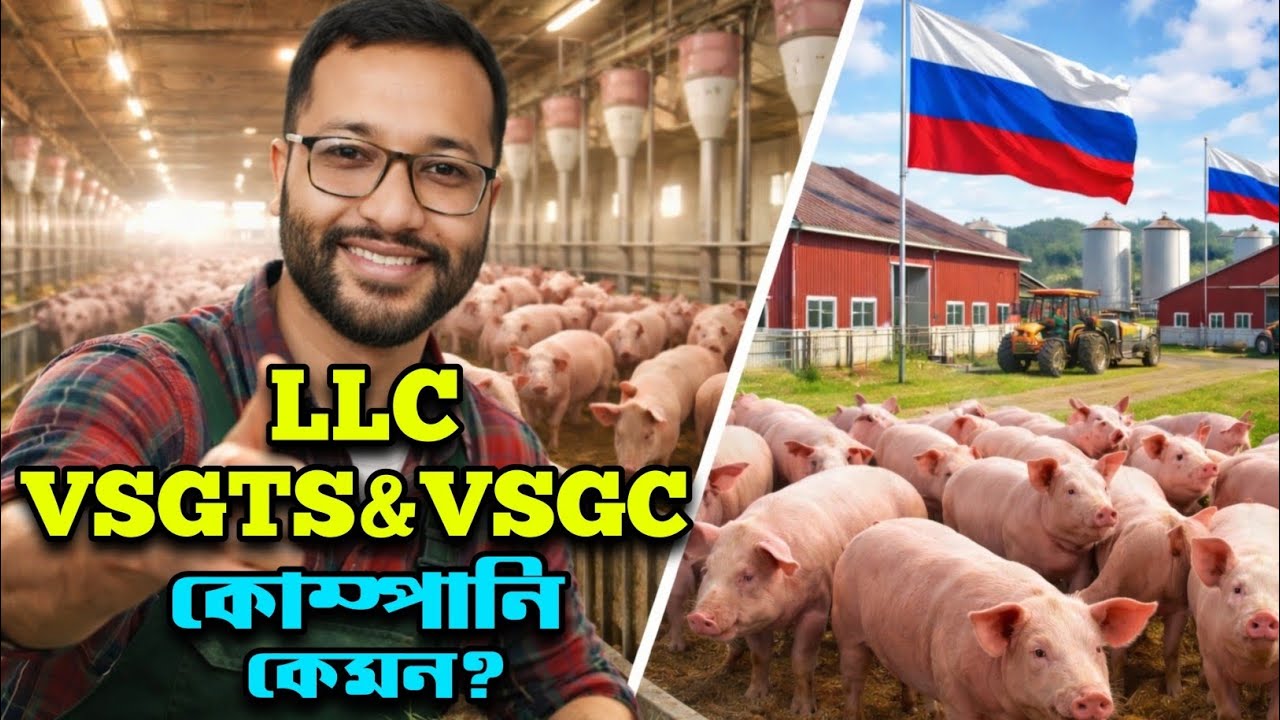 রাশিয়া VSGTS কোম্পানির শুয়োরের খামারে বাংলাদেশী শ্রমিকদের মানবেতর জীবন।।@AnkitBiswas-p8c 