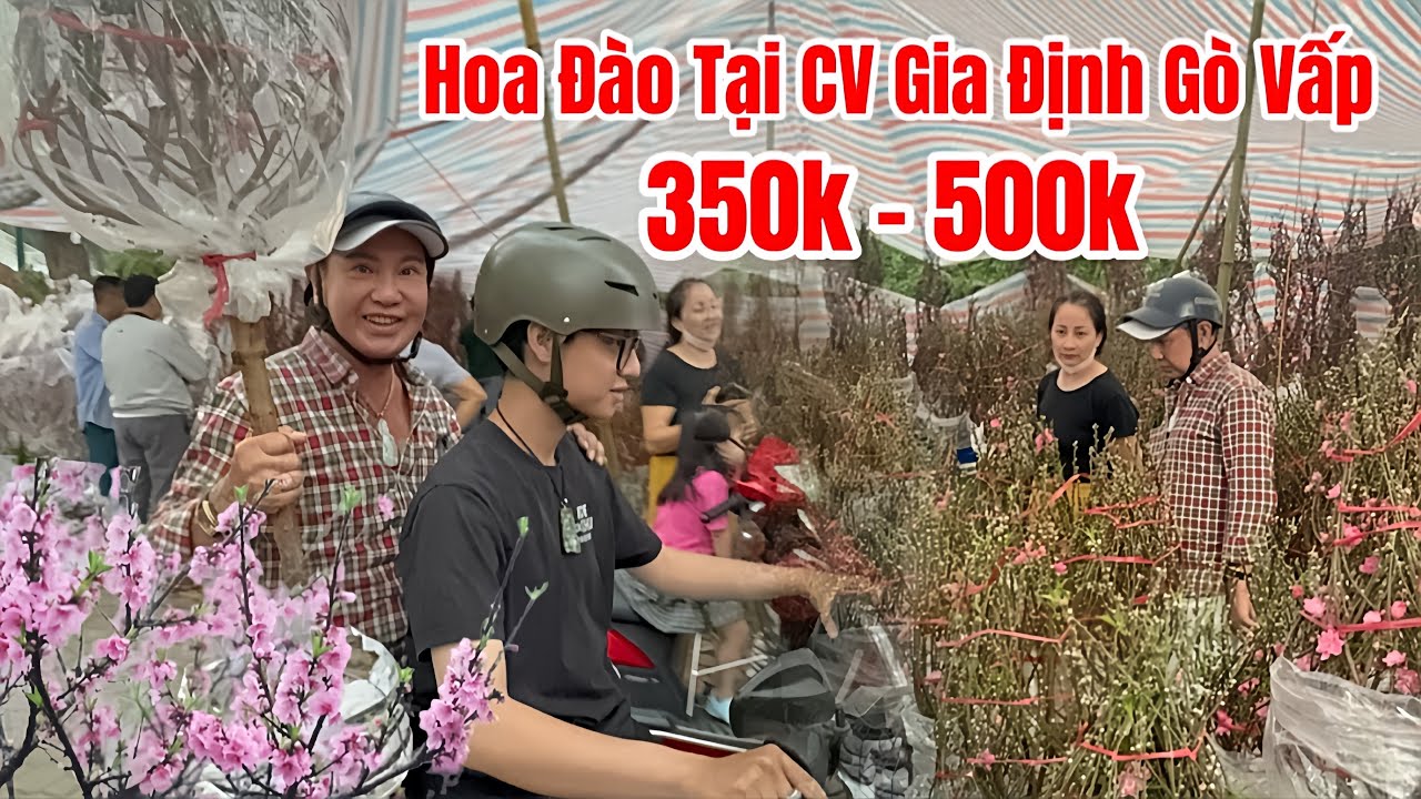23al Ngày Đưa Ông Táo Giá Đoà 350k - 500k Tại CV Gia Định 