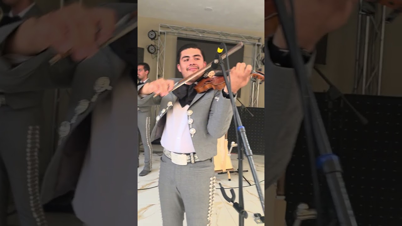 Veracruz 2 / Mariachi Toritos 