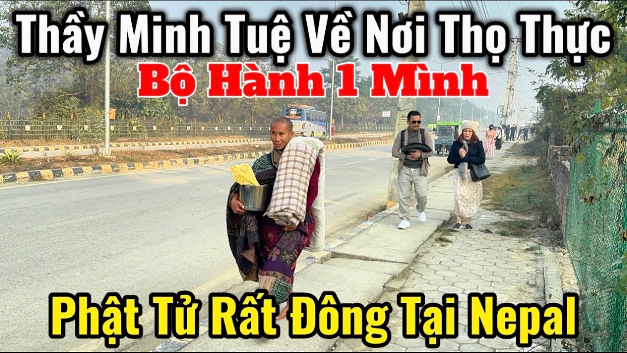 Thầy Bộ Hành Khất Thực Về 1 Mình | Phật Tử Tới Nepal Rất Đông 2/2 #thayminhtue #suminhtue 