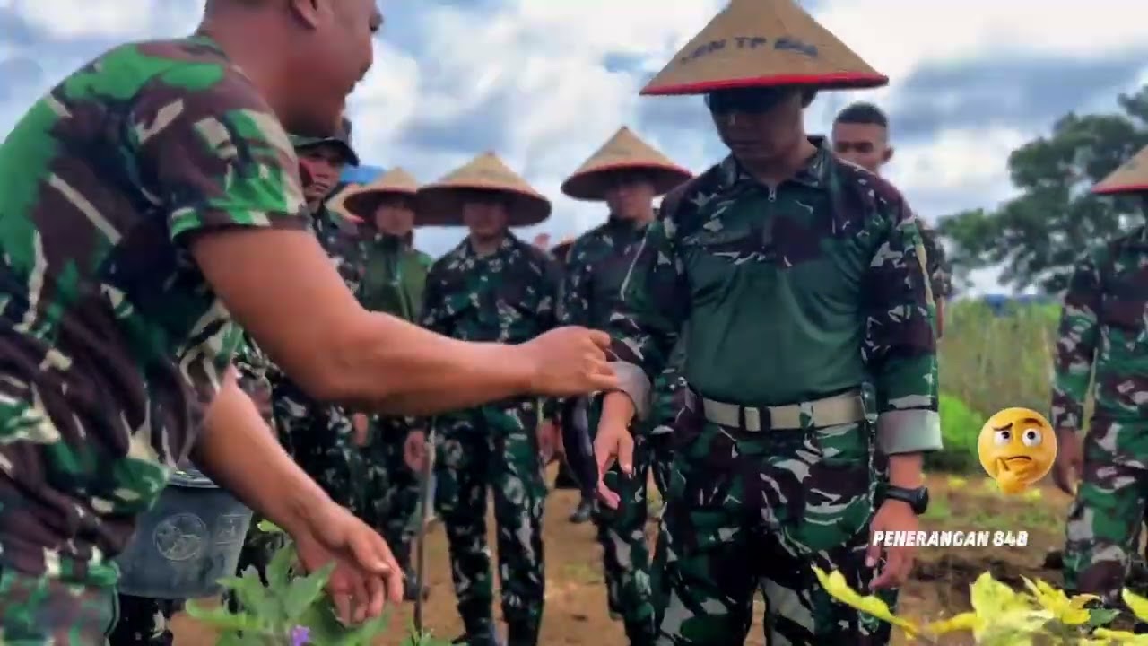 Yonif TP 848/SPC Laksanakan Panen Kacang Panjang dan Terong Dipimpin Langsung Danyon