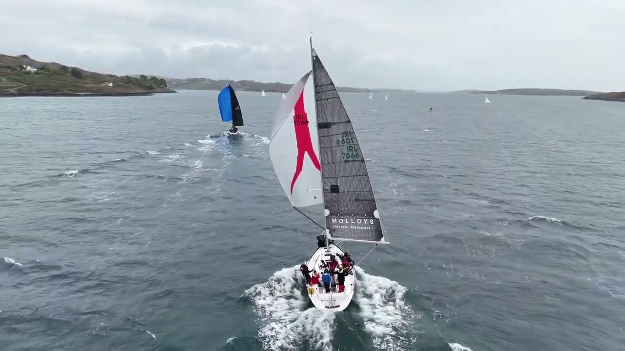 Schull Harbour Hotel Calves Week 2024 Day 2