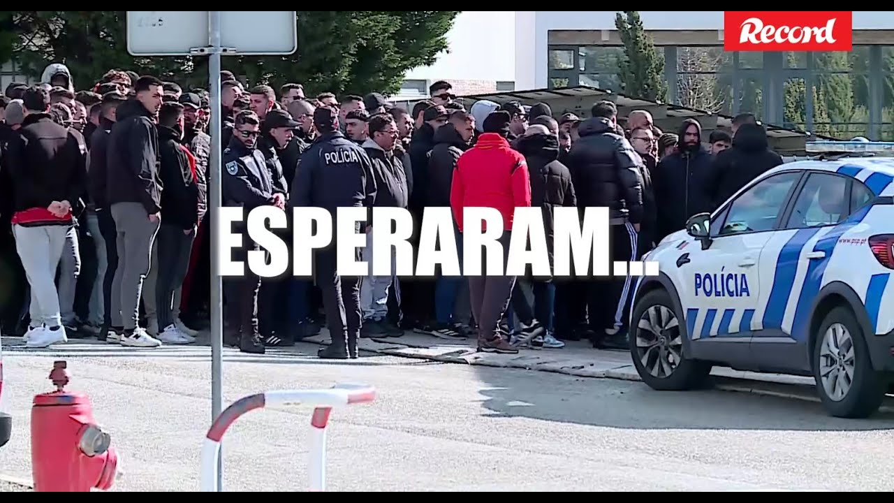 Tudo o que sabemos sobre a entrada dos ultras do Benfica no Seixal
