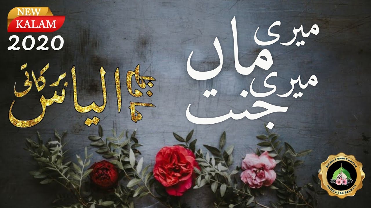 Meri Maa Meri Jannat | Hafiz Ilyas Barkati | Kalame Allama Fareedi Misbahi Sahab Qibla